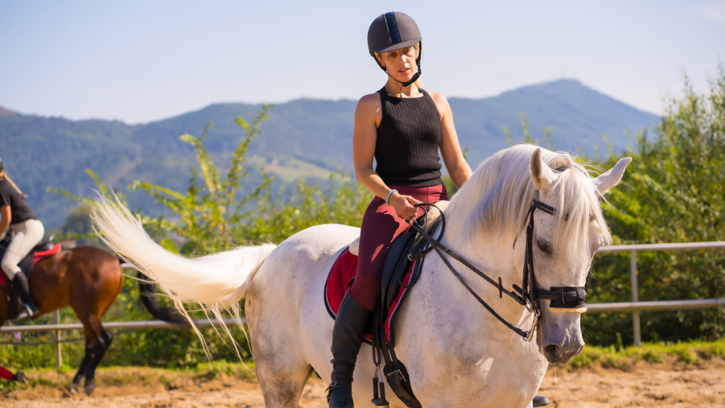 İstanbul'da At Binme Kursları