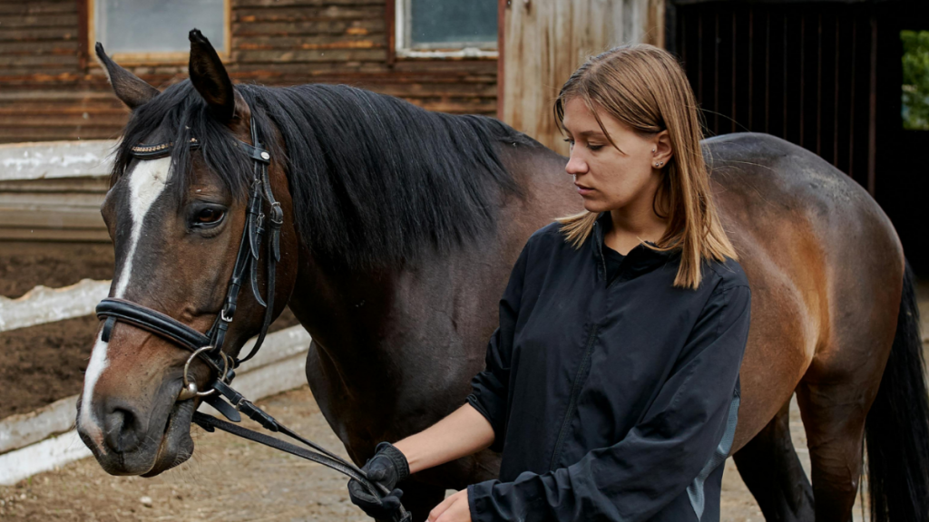 İstanbul'da At Binme Kursları
