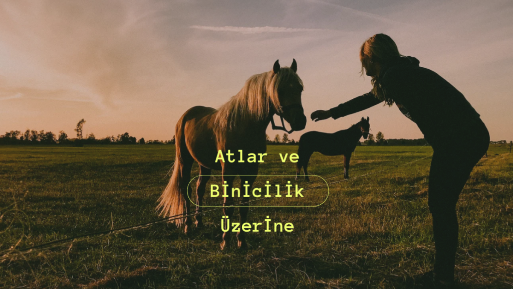 Doğanın Kalbinde Adrenalin: At Binicilik Parkurunun Benzersiz Deneyimi