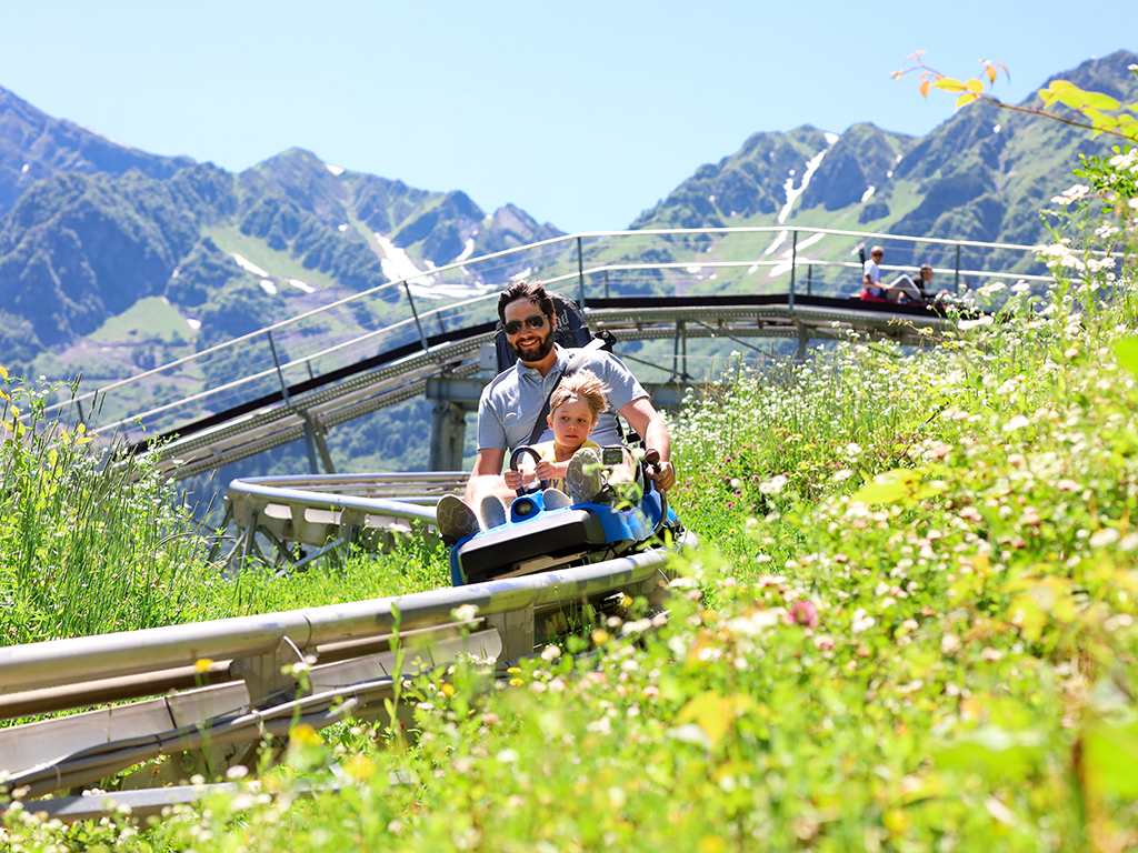 Nefes Orman İstanbul Dağ Kızağı (Alp Coaster)